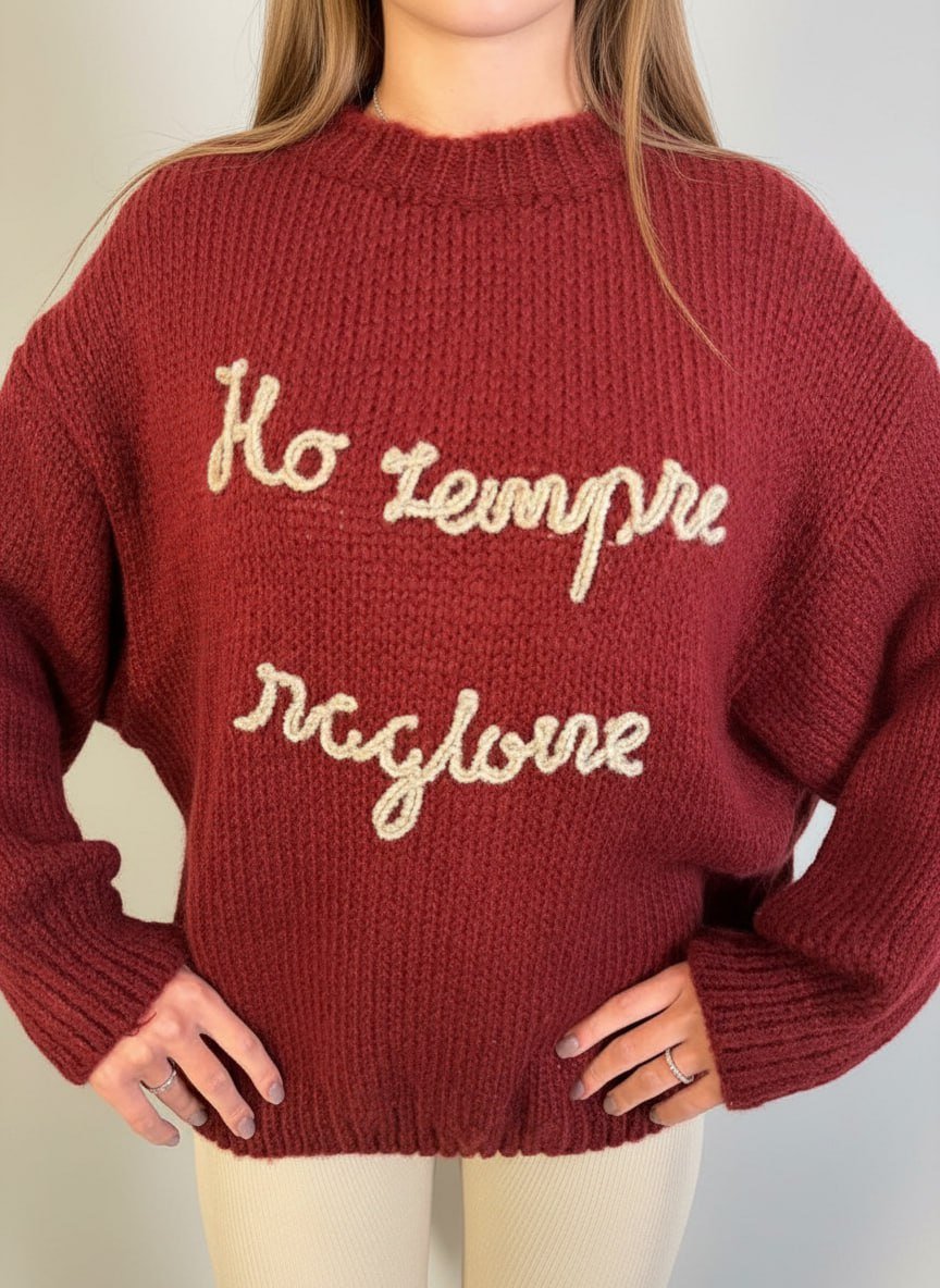Pull Ho Sempre Ragione - Abbigliamento Jessica